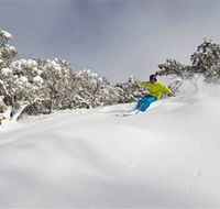 Mt Buller and Mt Stirling Alpine Resort - Attractions Sydney