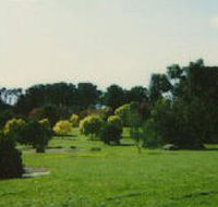 Nortons Park - Attractions Sydney