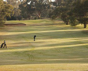 Cohuna Golf Club - Attractions Sydney 0