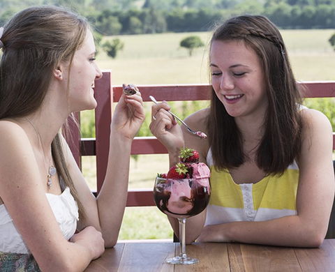 Yarra Valley Chocolaterie & Ice Creamery - Attractions Sydney 8