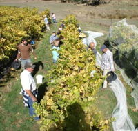 Blakes Estate Winery - Attractions Sydney
