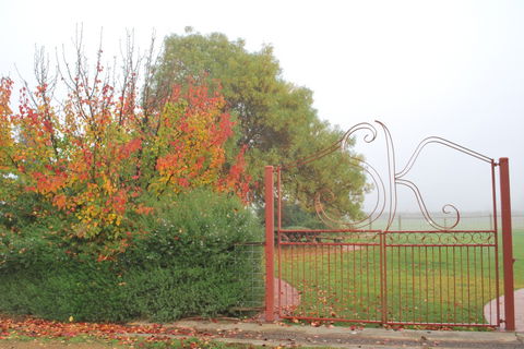 Stanton And Killeen Wines - Attractions Sydney 4