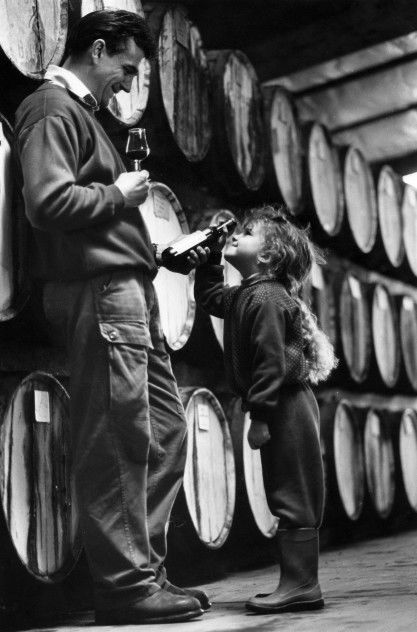 Stanton And Killeen Wines - Attractions Sydney 11