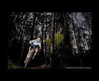 Book Forrest Accommodation Vacations Attractions Sydney Attractions Sydney