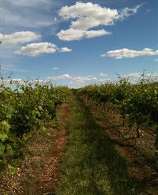 Chambers Rosewood Winery - Attractions Sydney 0