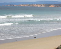 Lorne Beach Club
