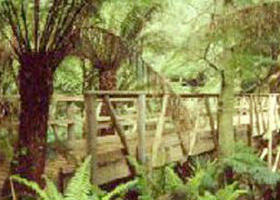 Mount Worth State Park - Attractions Sydney 0