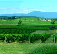 Acacia Ridge Vineyard - Attractions Sydney