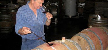 Nicholson River Winery - Attractions Sydney 3