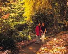 George Tindale Memorial Gardens - Attractions Sydney 0