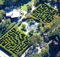 Ashcombe Maze  Lavender Gardens - Attractions Sydney