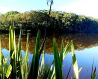 Aura Vale Lake Park