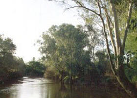 Banksia Park - Attractions Sydney 0