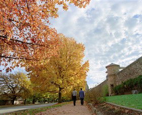 Beechworth Historic And Cultural Precinct - Attractions Sydney 0