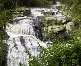 Agnes Falls Scenic Reserve - Attractions Sydney 0