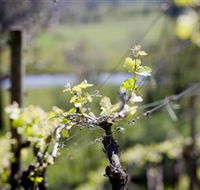 Kyneton Ridge Estate - Attractions Sydney