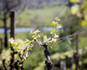 Eldridge Estate Of Red Hill - Attractions Sydney 0