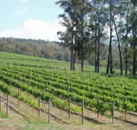 Piedmont Vineyard - Attractions Sydney