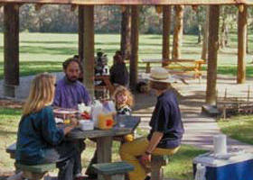 East Warburton VIC Attractions Sydney