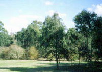 Sweeneys Flat