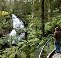 Great Otway National Park - Attractions Sydney
