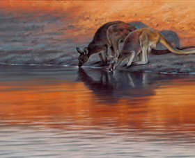Steve Morvell Wildlife Art - Attractions Sydney 0