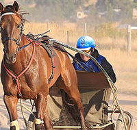 Ballarat  District Trotting Club - Attractions Sydney