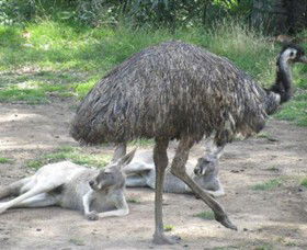 Bundoora Park - Attractions Sydney 0