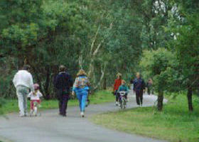 Birrarrung Park - Attractions Sydney 0