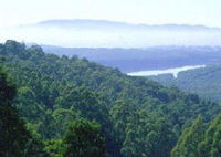 Book Kalorama Accommodation Vacations Attractions Sydney Attractions Sydney