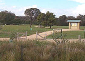 Dandenong Police Paddocks Reserve - Attractions Sydney 0