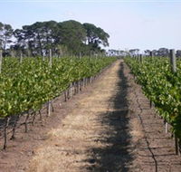 Mount Beckworth Wines - Attractions Sydney
