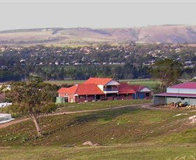 Bacchus Hill Winery - Attractions Sydney 0