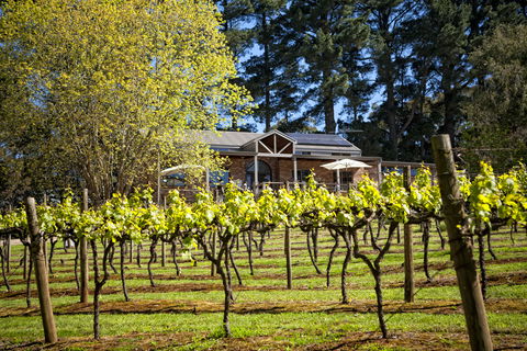 Main Ridge Estate - Attractions Sydney 3