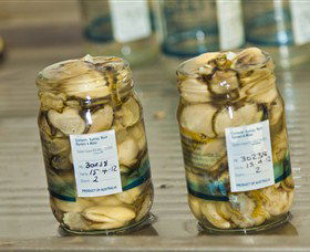 Broadwater Oysters - Attractions Sydney 0