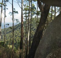 Gulaga National Park - Attractions Sydney