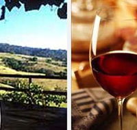 Jasper Valley Wines and Vines Cafe - Attractions Sydney