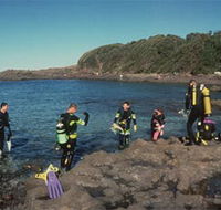 Bushrangers Bay Aquatic Reserve - Attractions Sydney