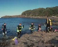 Book Shellharbour Accommodation Vacations Attractions Sydney Attractions Sydney