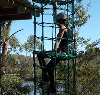 Trees Adventure Shoalhaven - Attractions Sydney