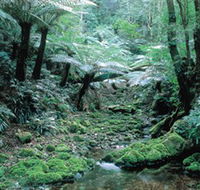 Deua National Park - Attractions Sydney