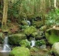 Budderoo National Park - Attractions Sydney
