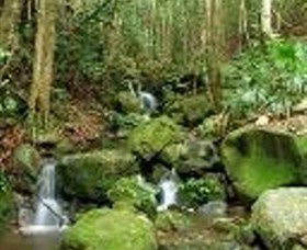 Budderoo National Park - Attractions Sydney 0
