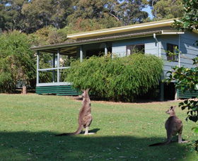 Murramarang National Park - Attractions Sydney 0