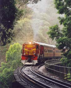 Cockatoo Run - Scenic Tour Train Operated By 3801 Limited - Attractions Sydney 0