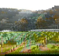 Tilba Valley Wines - Attractions Sydney