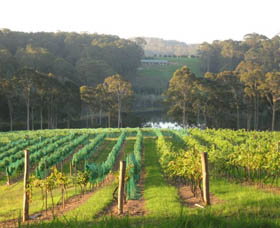 Tilba Valley Wines - Attractions Sydney 0