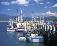 Book Eden Accommodation Vacations Attractions Sydney Attractions Sydney