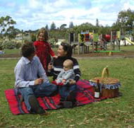Blackbutt Forest Reserve - Attractions Sydney