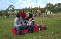 Blackbutt Forest Reserve